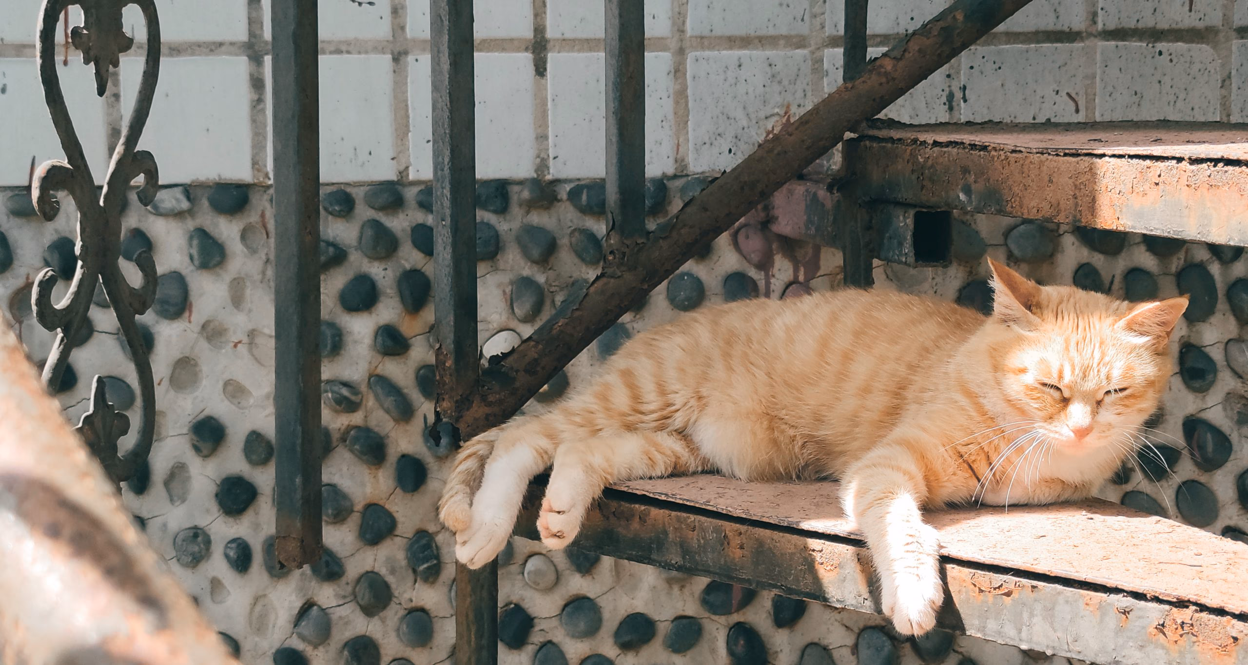 Cover image of 即将到来的高三