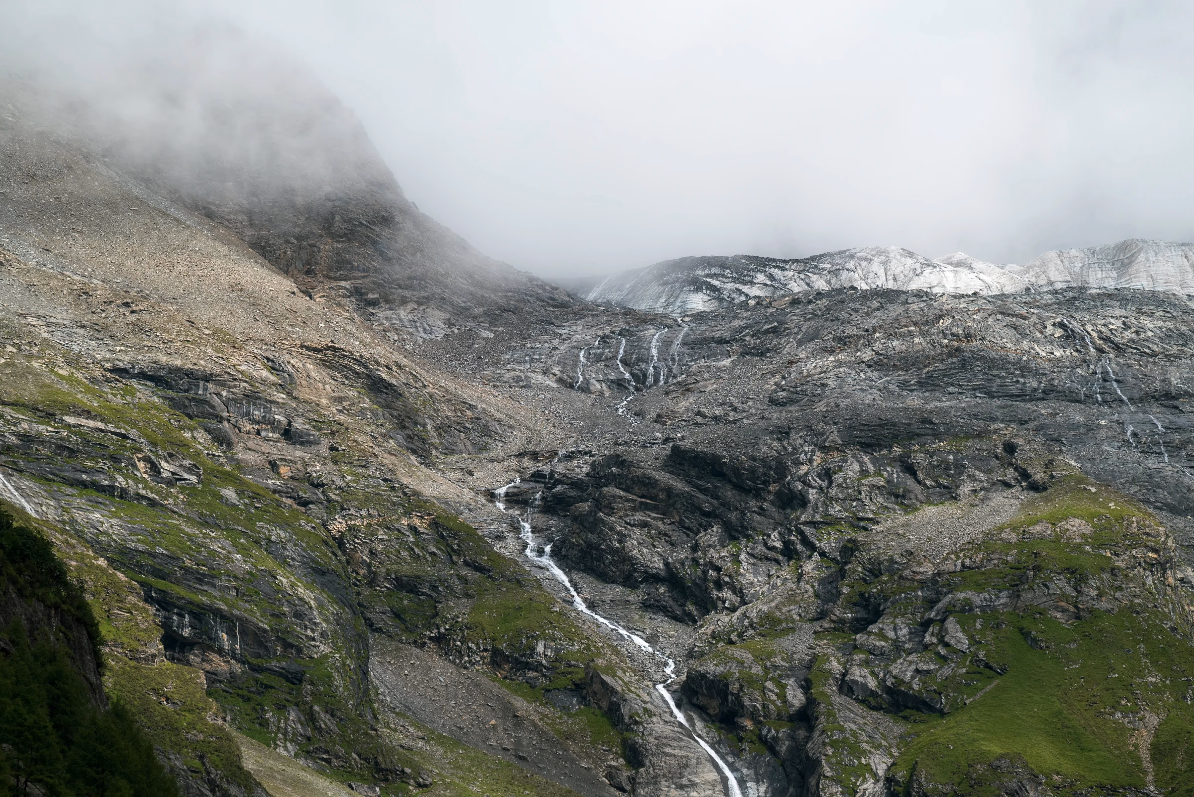 gallery-2023-8_1.webp