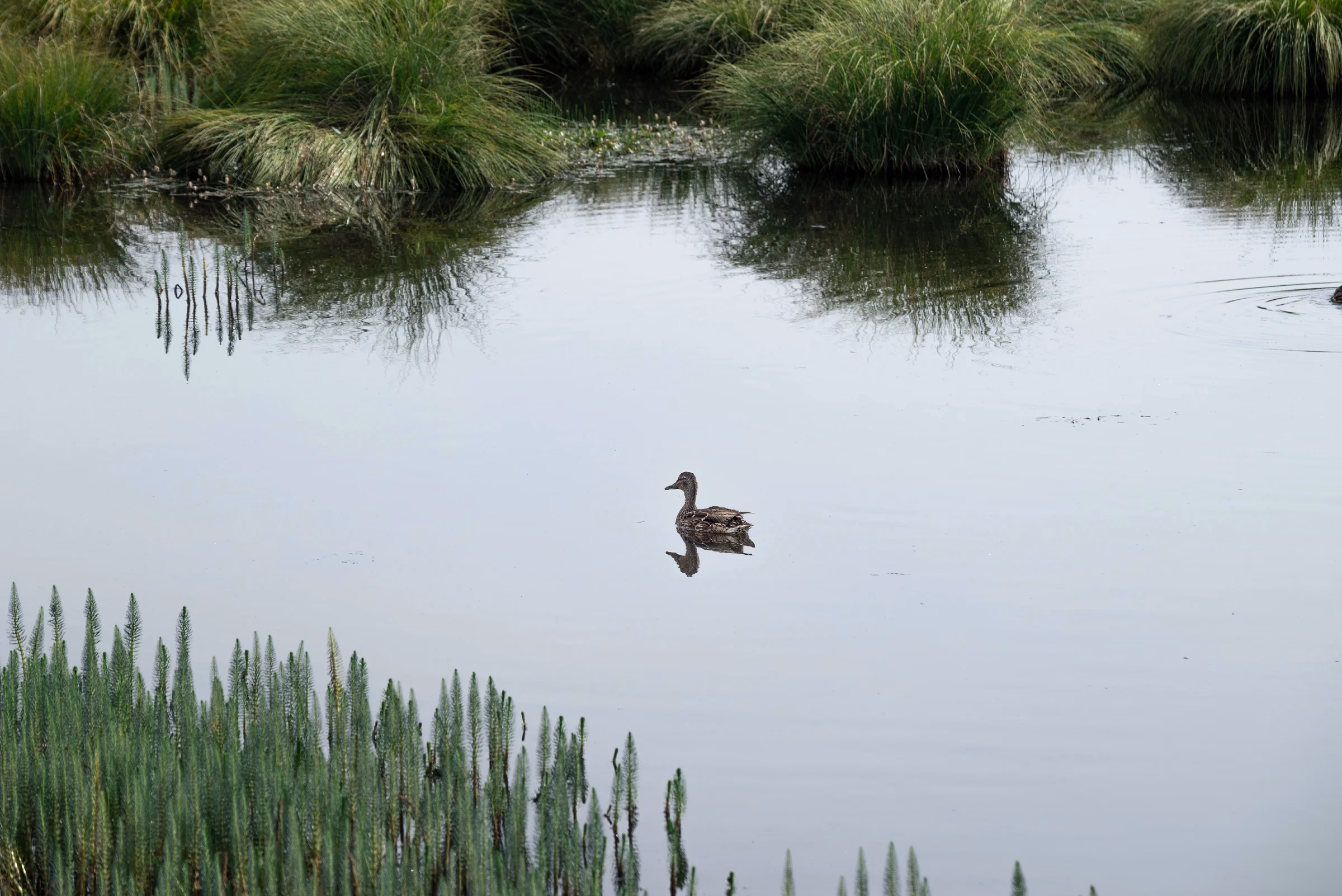 gallery-2023-8_10.webp