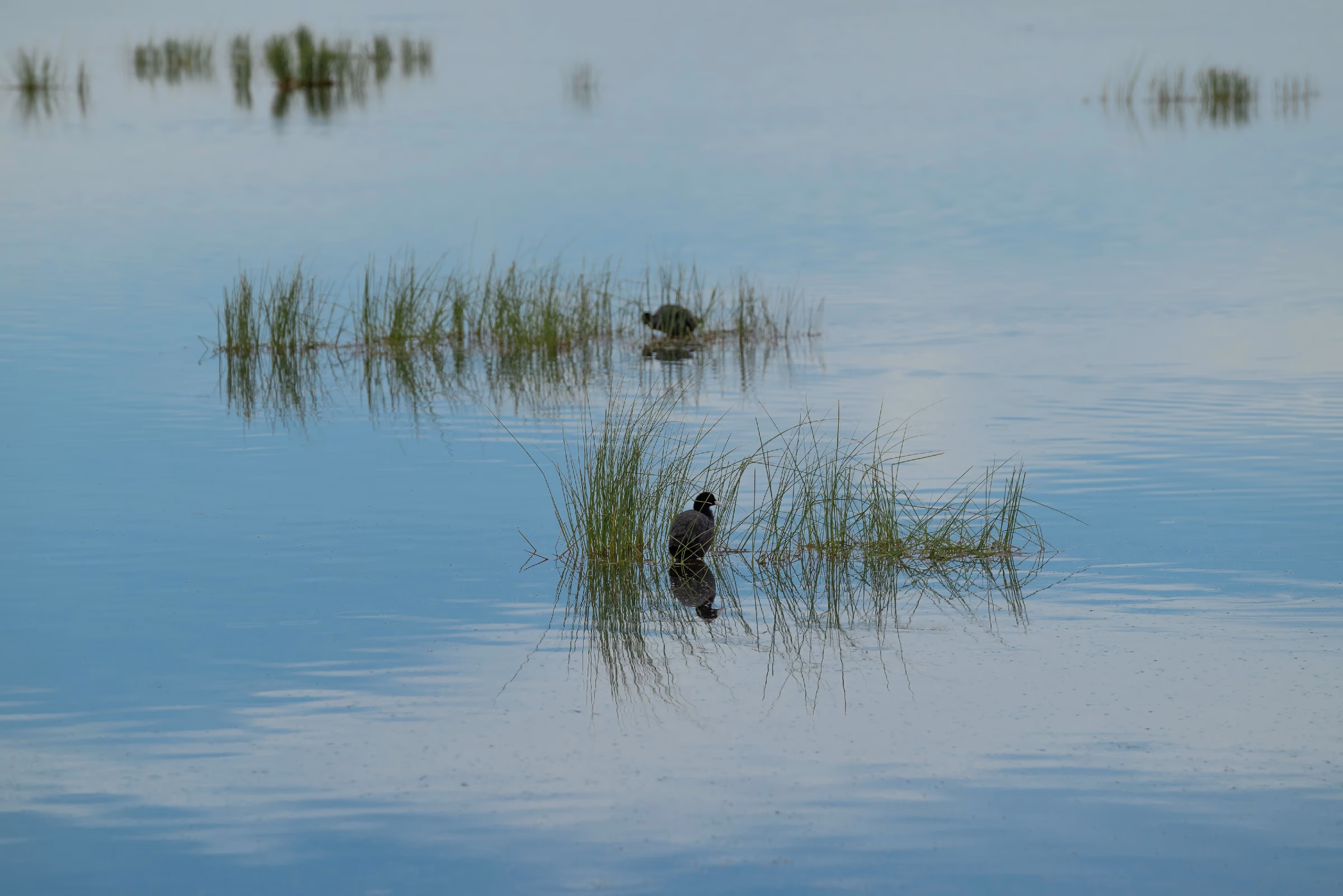 gallery-2023-8_11.webp
