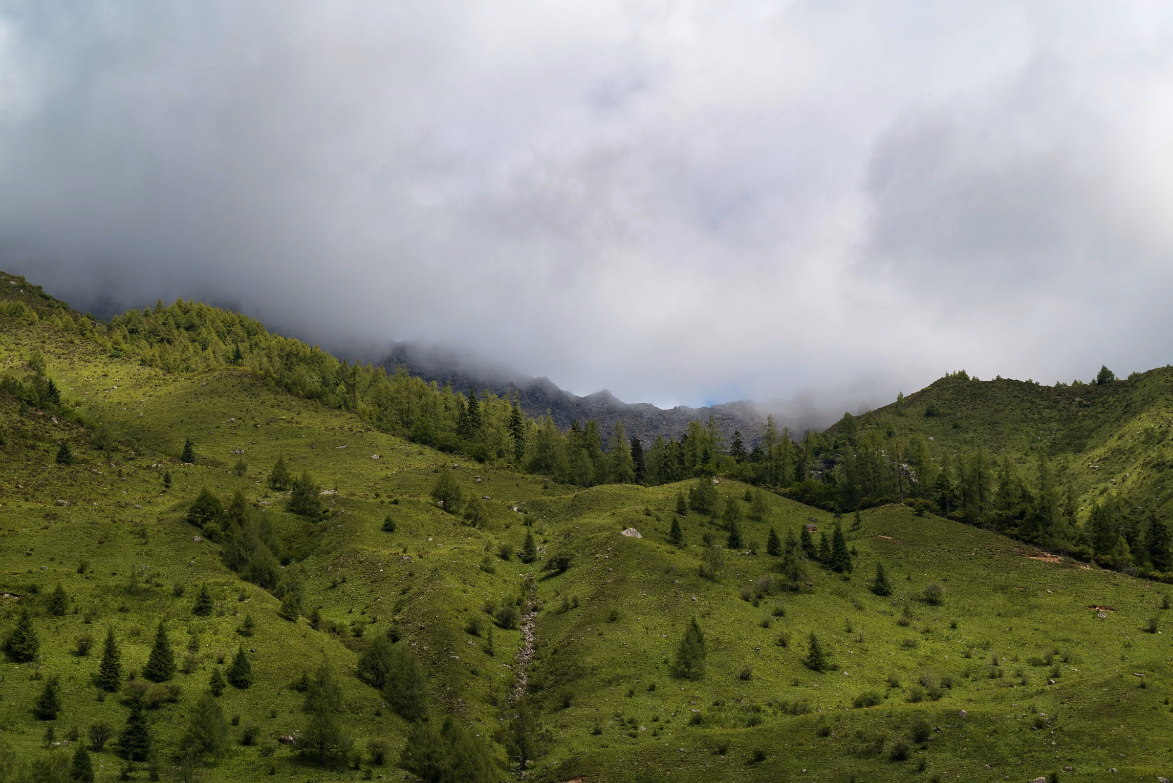 gallery-2023-8_4.webp