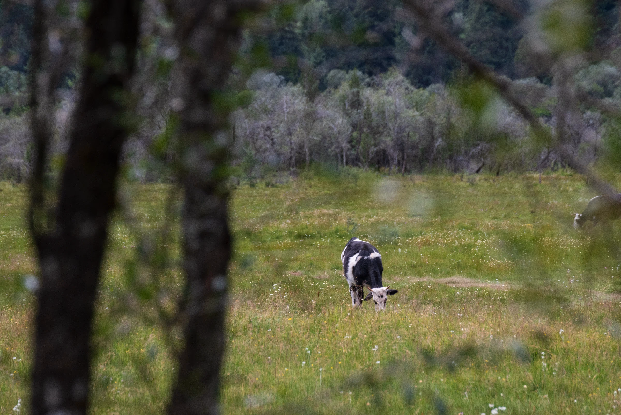 gallery-2023-8_6.webp