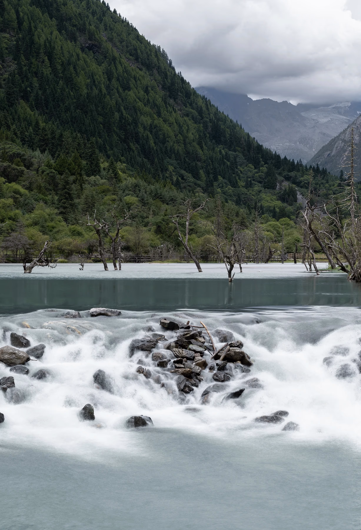 gallery-2023-8_7.webp