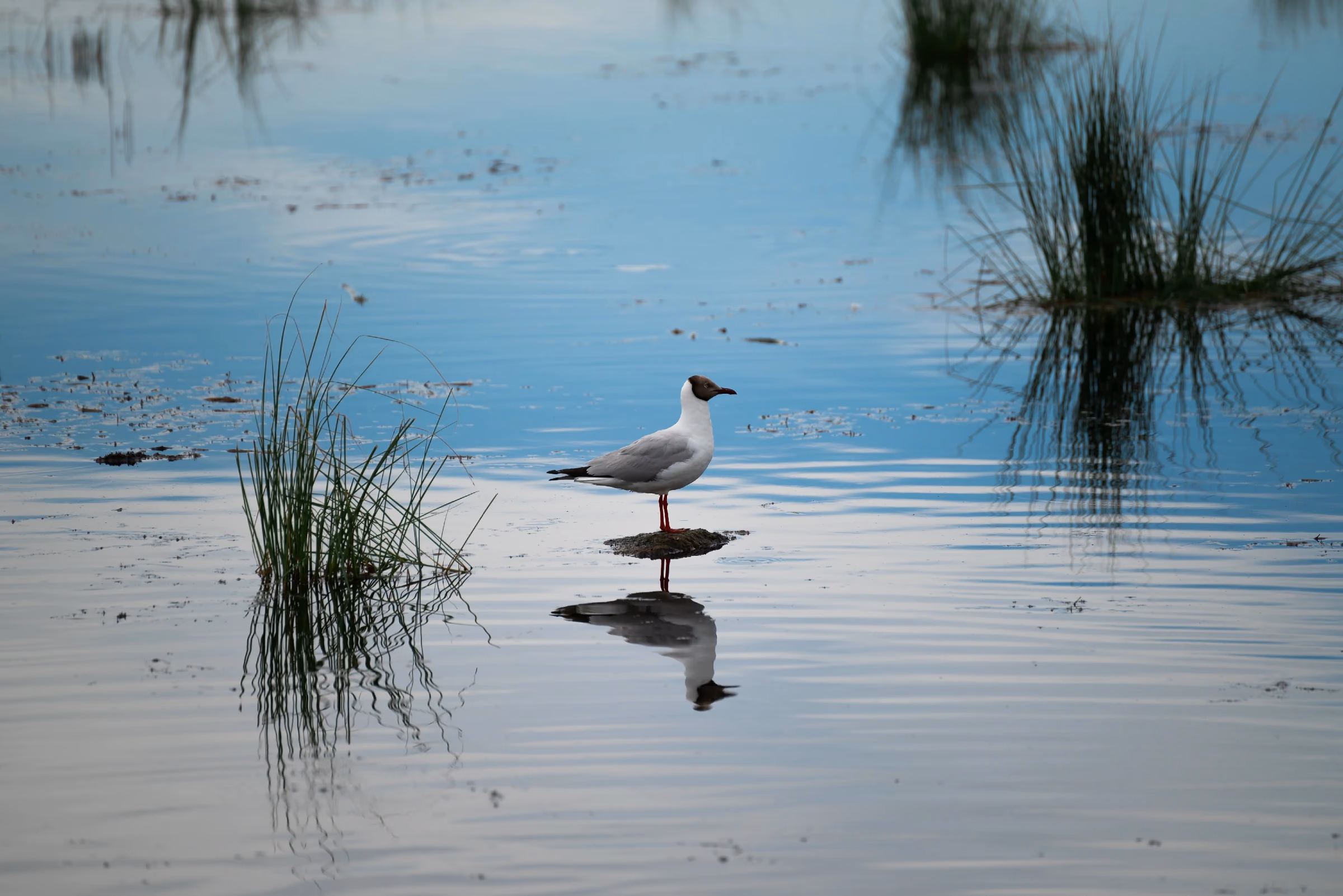 gallery-2023-8_8.webp