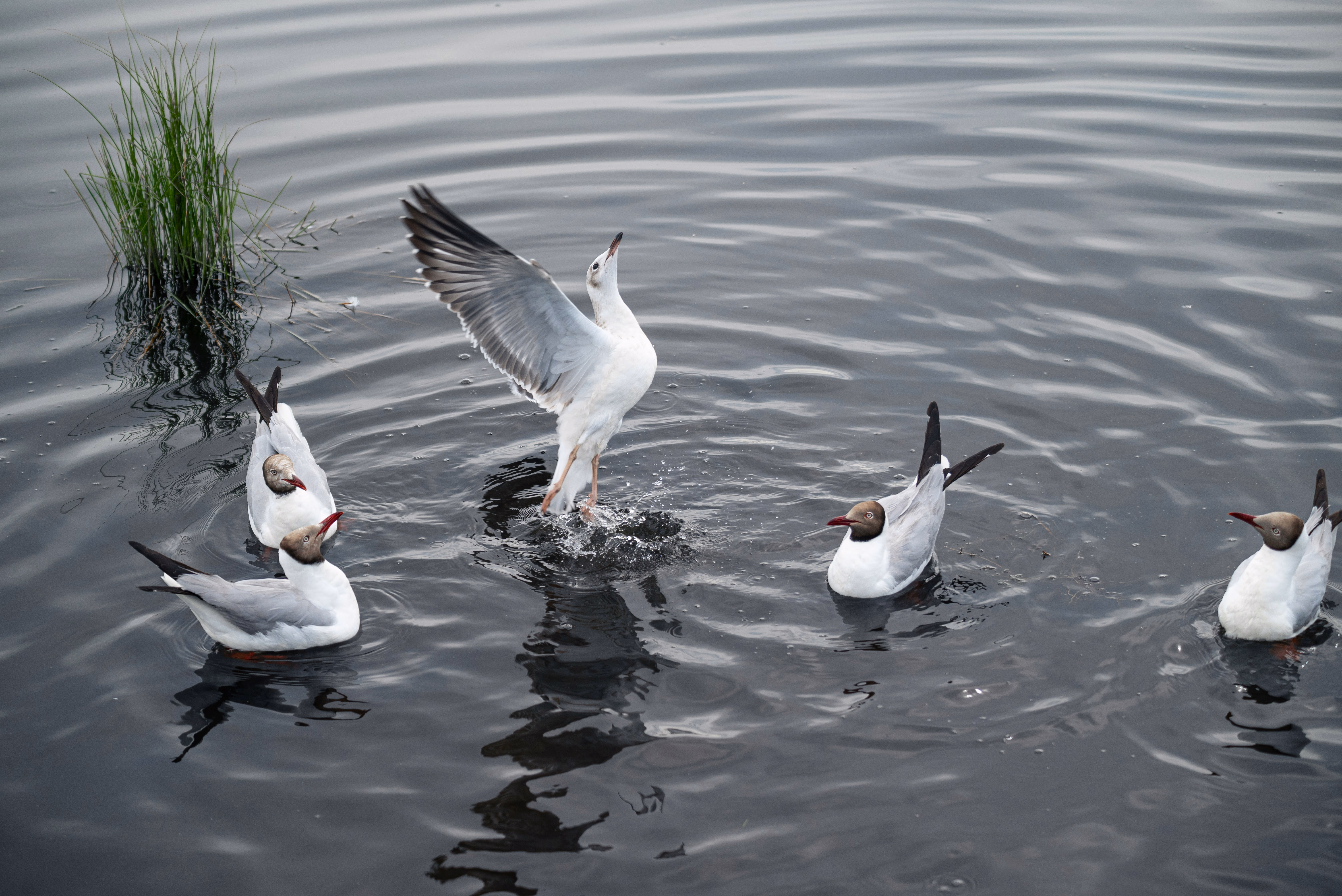 Photography shot by me