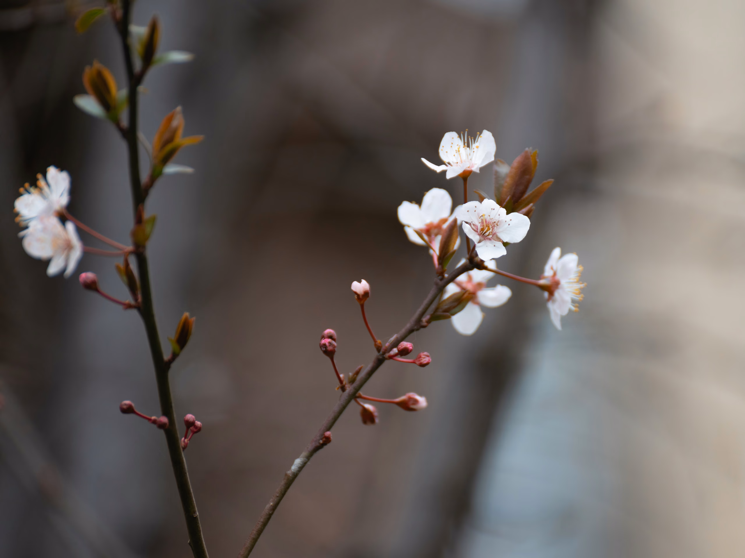 Photography shot by me