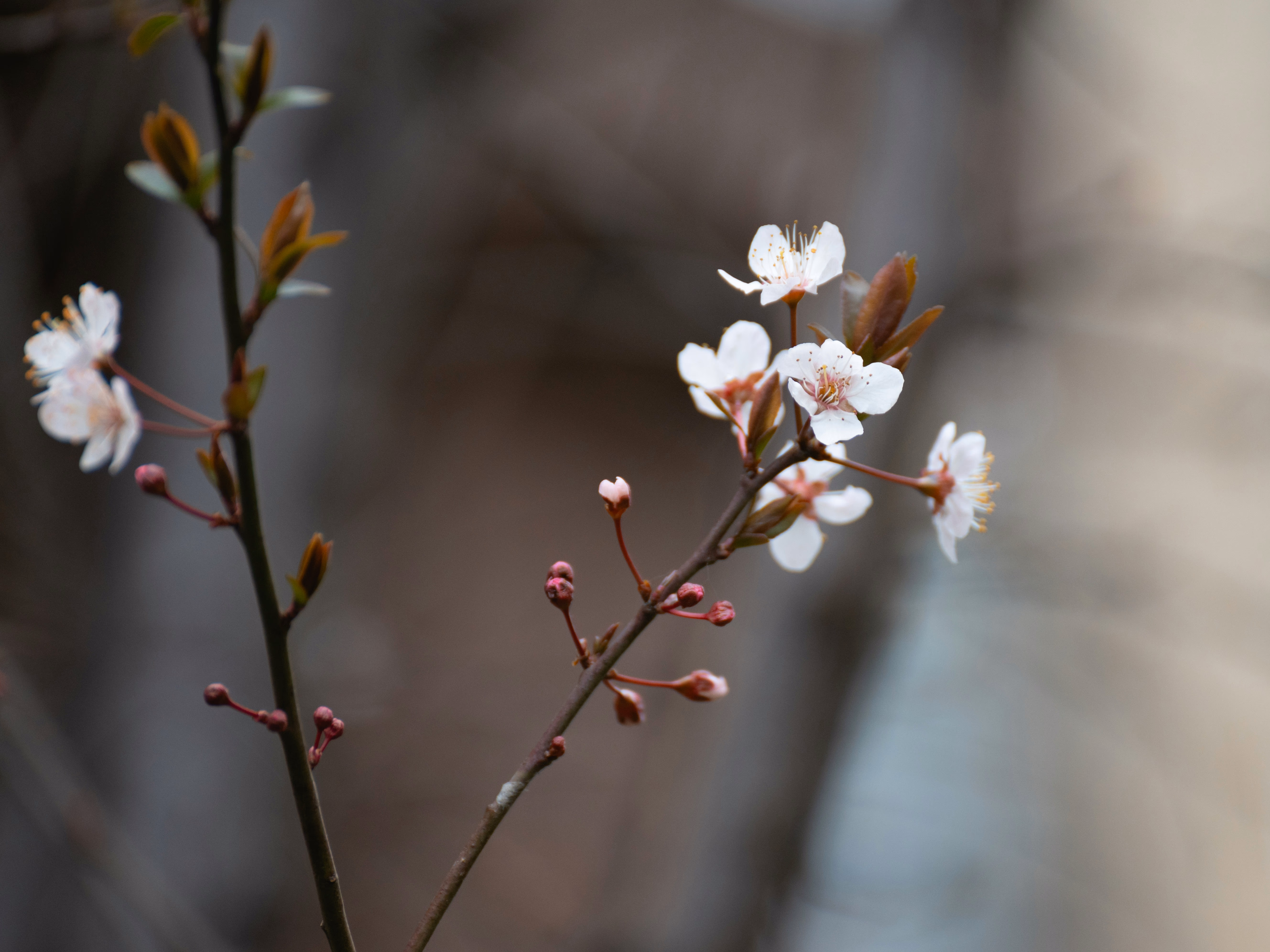 Photography shot by me