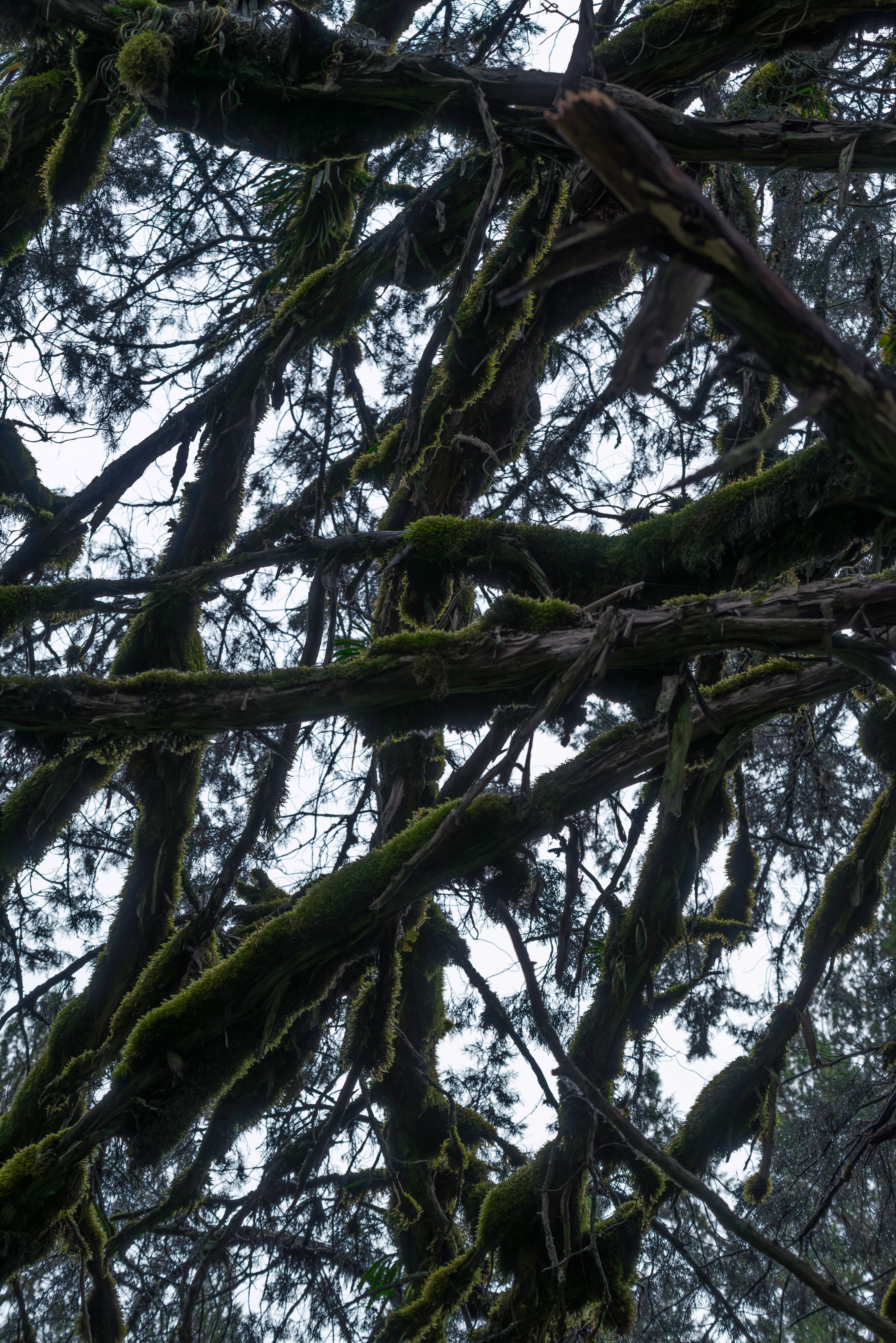 Photography shot by me