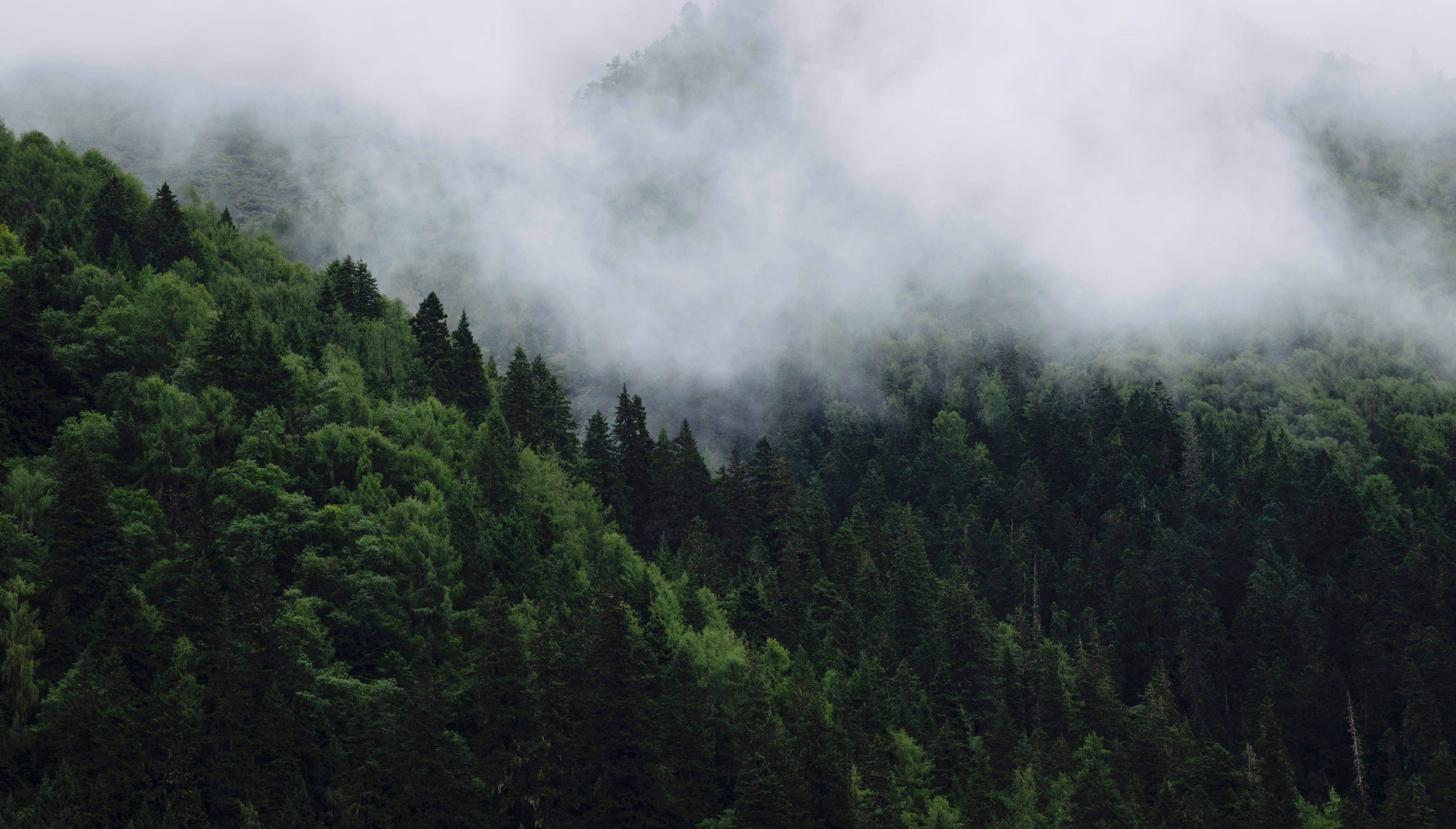 Photography shot by me