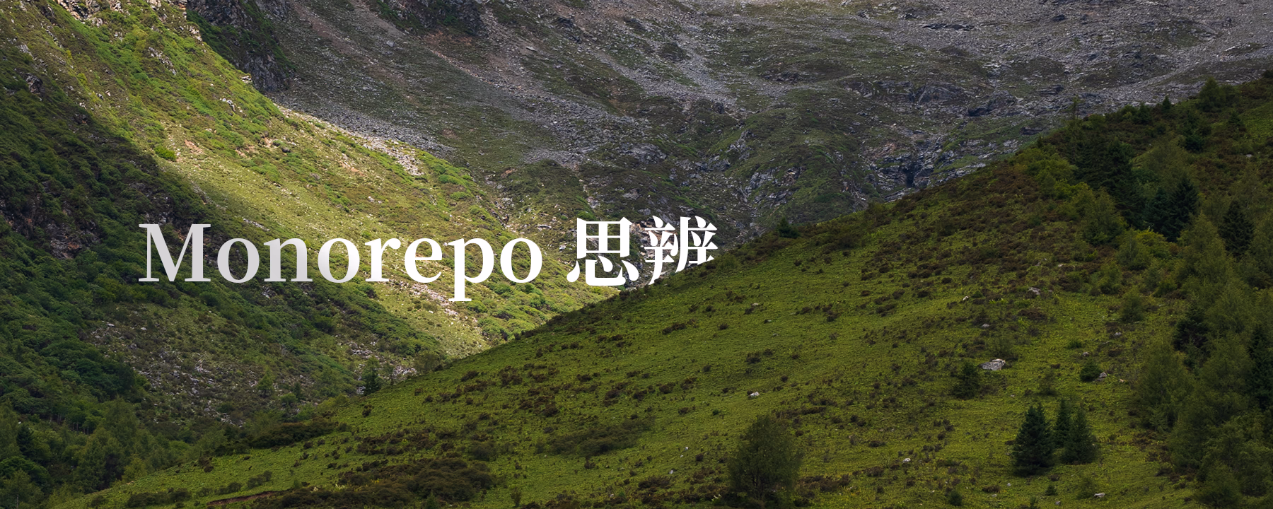 Cover image of Monorepo 思辨