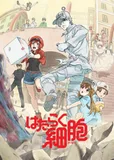 看完了「はたらく細胞」