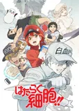 看完了「はたらく細胞!!」